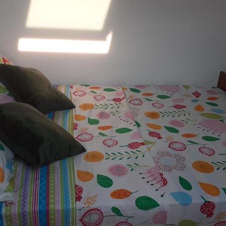 Appartement Le Bonheur Pibrac Eksteriør bilde